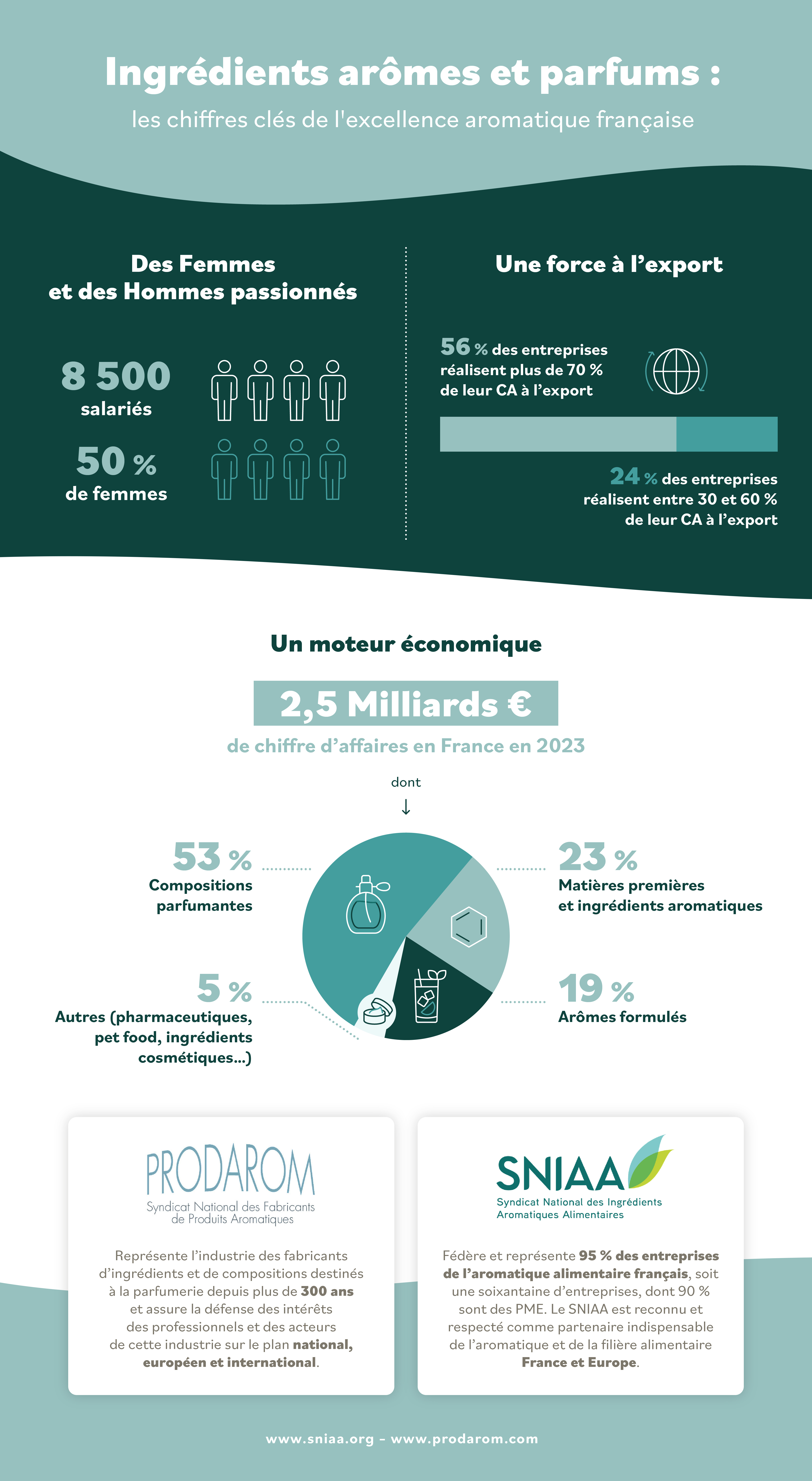infographie