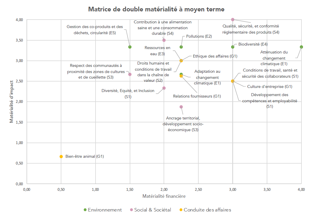 Matrice double matérialité SNIAA