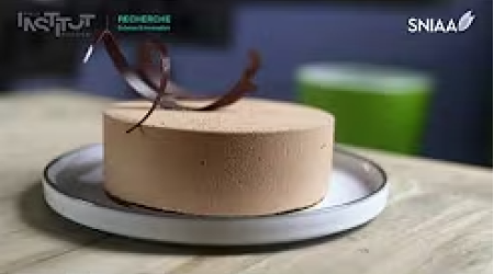 Entremets Gianduja-Framboise-Basilic