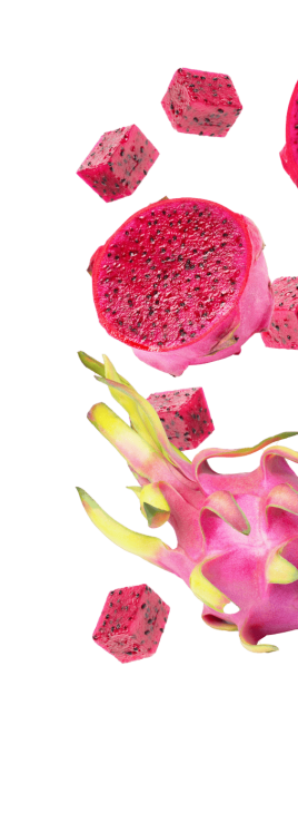 fruits