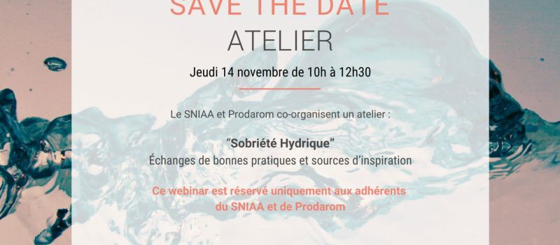 Save the date atelier société hydrique