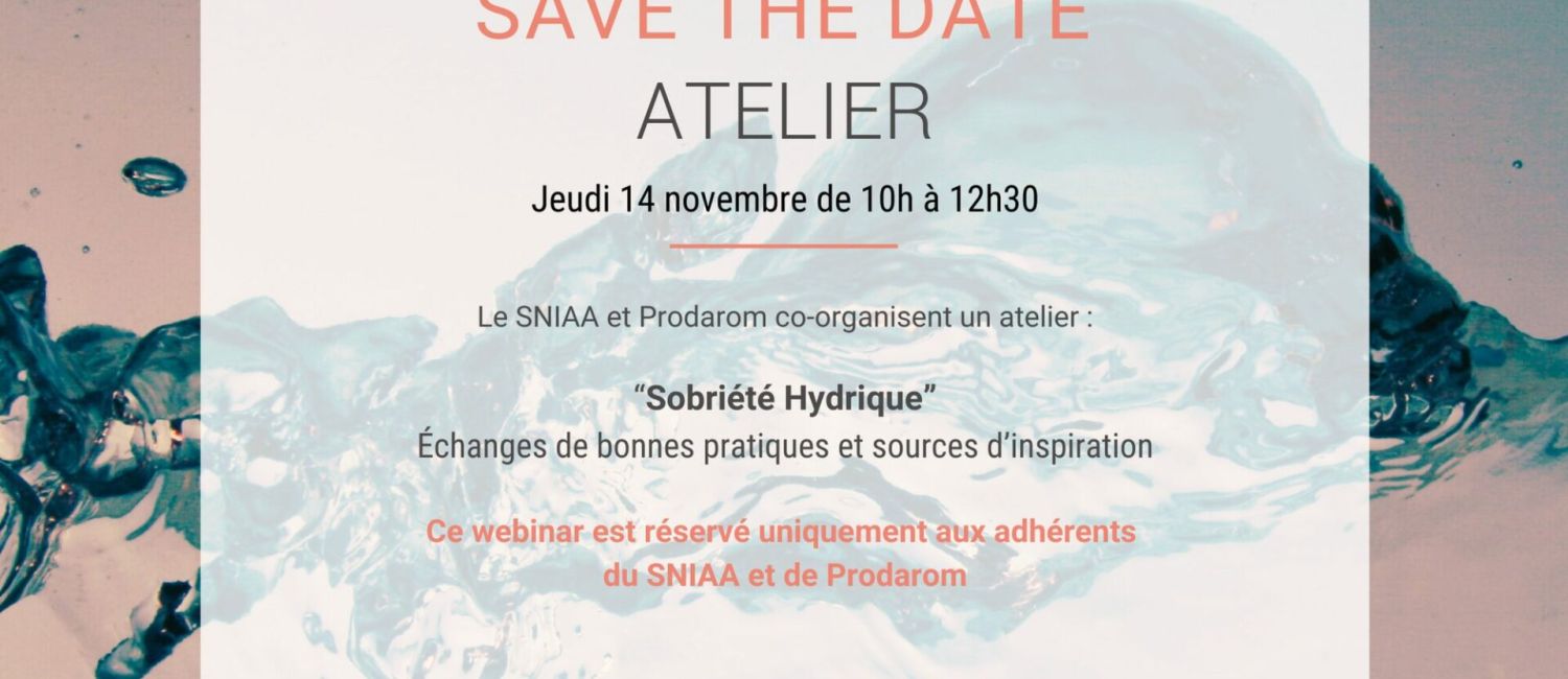Save the date atelier société hydrique